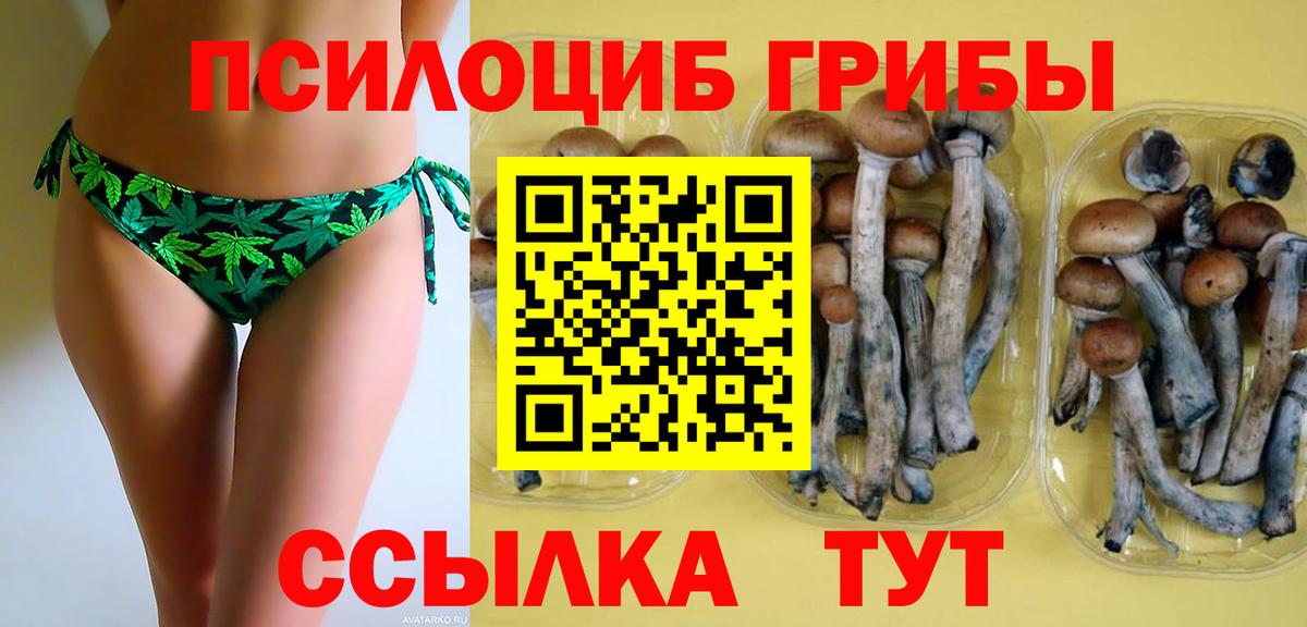 Псилоцибиновые грибы мицелий Железноводск